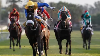 El Club Hípico retomará la actividad el próximo lunes 17