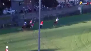 Tres caballos fueron sacrificados tras accidente en “carrera a la chilena” en el Club Hípico