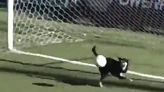 La espectacular atajada de un perro en partido del fútbol argentino