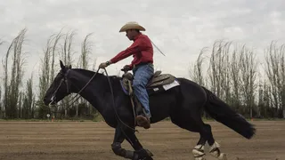 Más de cien binomios protagonizan Campeonato Ecuestre Criadero Los Cóndores