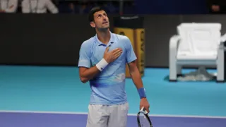 ¿Qué dirá Novak? Biólogos nombraron a un insecto en su honor