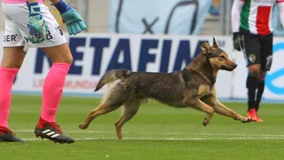 Sultán adelantó una “alegría cruzada” para el clásico universitario